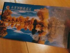 -金塔沙漠胡杨林景区