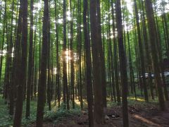 -山王坪喀斯特国家生态公园