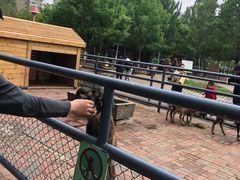 -长白岛森林公园