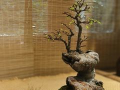 -郭庄景区