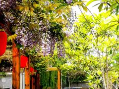 -长安上水缘度假庄园