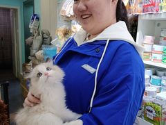 -宠伴小精灵宠物店(鼓楼店)