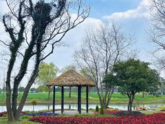 -嘉北郊野公园