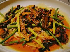 -铁公鸡·四川料理(天环广场店)