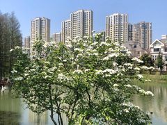 -白塘生态植物园
