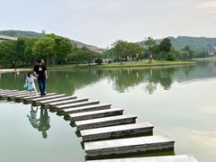 -佘山世茂艾美·御珍轩中餐厅