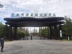 -黄海国家森林公园