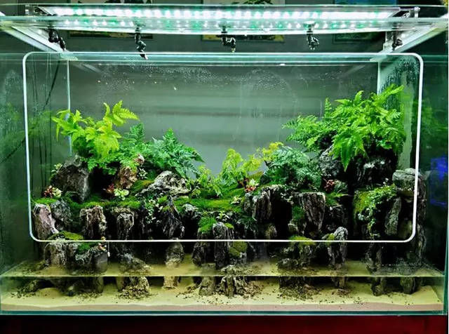 青蓝水景鱼缸造景家居设计淡海水