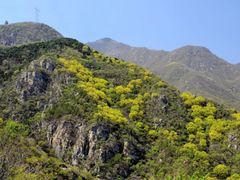 -北京鹫峰国家森林公园
