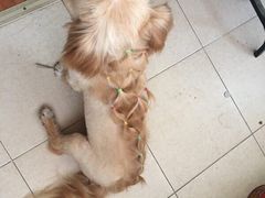 -萌兽医馆·绝育·24小时内科·宠物医院(德胜店)