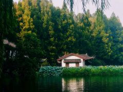 -杭州植物园