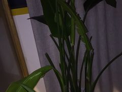 -谷悦SPA(王府井店)