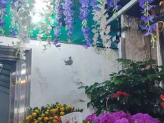 -溪岸路花鸟市场