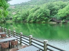 -白马涧龙池景区