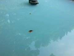 -聚龙湾欢乐水世界