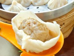 鲜肉小笼-大龙汤包