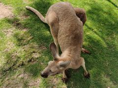 -泉州海丝野生动物世界