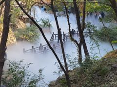 -北京西山国家森林公园