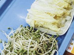 豆芽菜-黑猫馋纸包鱼(阳光店)