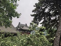 -潭柘寺景区