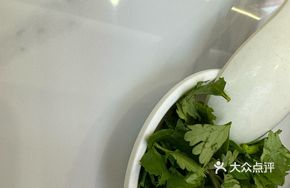 Cilantro and Scallion