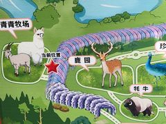 -大塘金香草谷