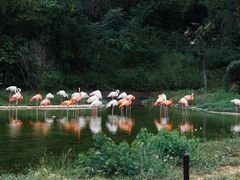 -杭州野生动物世界