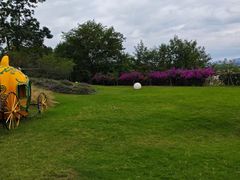 -福建鲤鱼洲酒店