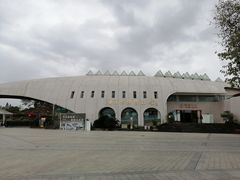 -自贡恐龙博物馆