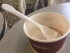 -哈根达斯(武汉天地店)