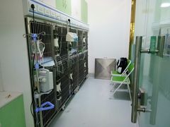 -汪喵宠物医院·骨科心脏影像·犬猫急重症ICU诊疗中心(成华分院)