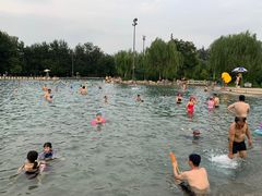 -柳浪游泳场