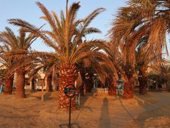 -Cafe Aewol Monsant
