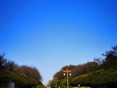 -宜兴龙背山森林公园