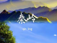 -秦岭风景区