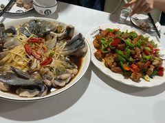 -煲来饱去冷水鱼