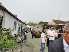 -苏州市吴中区光福窑上花果蜜饯厂