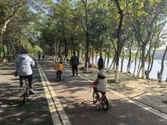 -凤岗南门山森林公园
