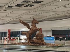 -杭州萧山国际机场