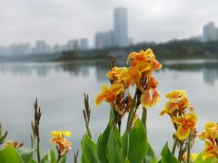 -南宁南湖公园