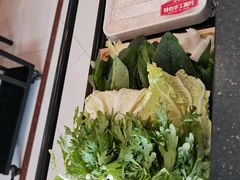 -蝎王府羊蝎子(天通苑店)