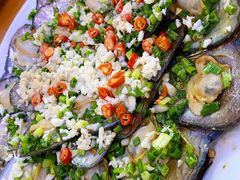 -全乐鱼馆·淳牌有机鱼直营店