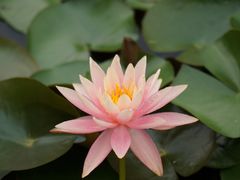 -宁波九龙湖开元度假村