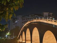 -万绿园