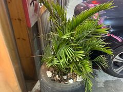 -浏阳小饭铺(洪西小区店)