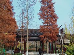 -南通濠河风景名胜区