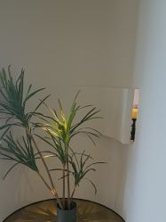 -栖SPA·ONDA ·海菲秀·皑皑科技美肤中心