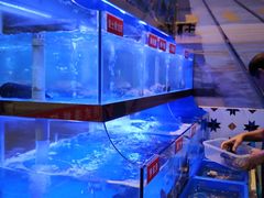 -小龍鳳·港式海鲜打边炉(沙湖路店)