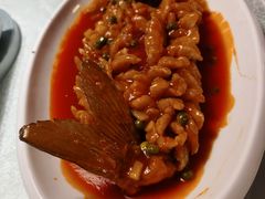松鼠桂鱼-乾园(天河城店)