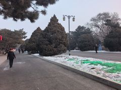 -北陵公园